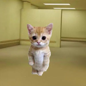 Meet your Posher, Edwin